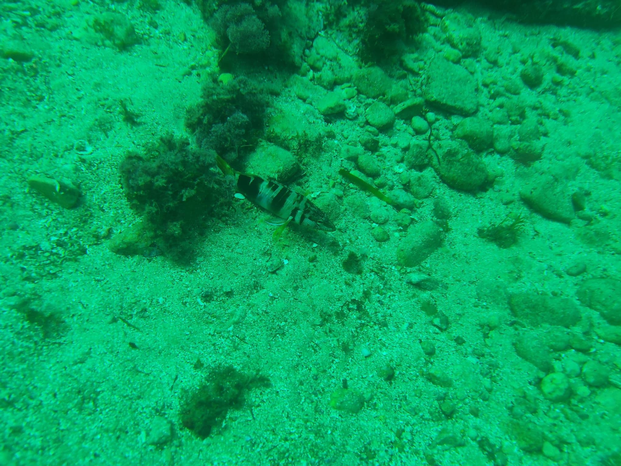 foto 6